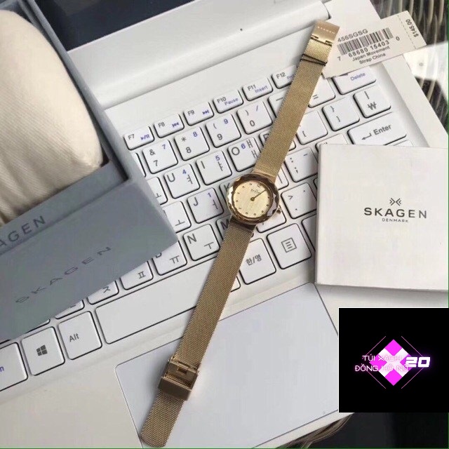 Đồng Hồ Nữ Skagen SK 456SGSG