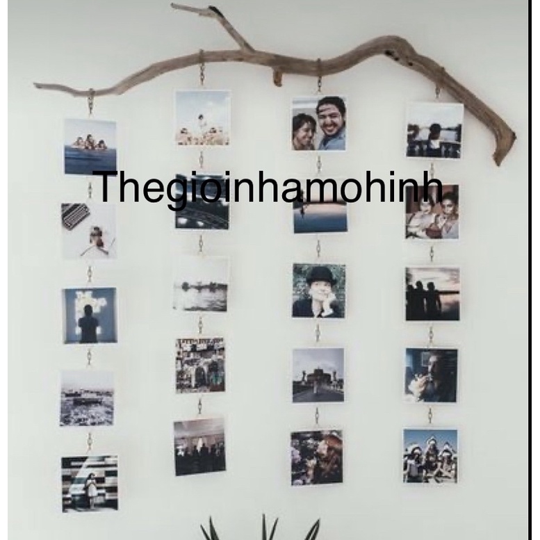 Cành gỗ treo ảnh decor trang trí không gian