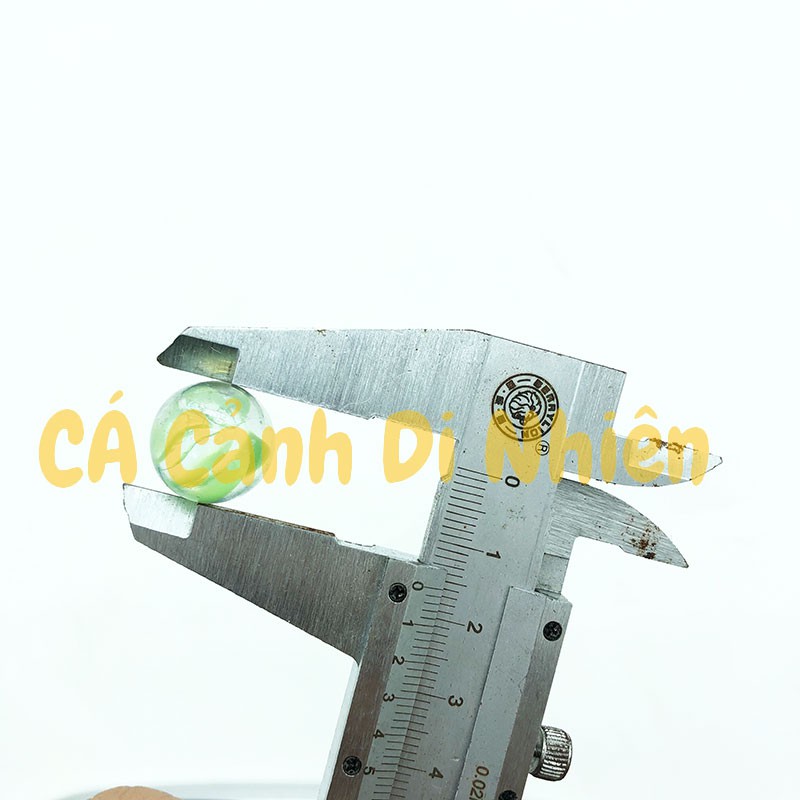 Viên bi ve 8 khía 200 gram  size 1.6 cm trang trí hồ cá