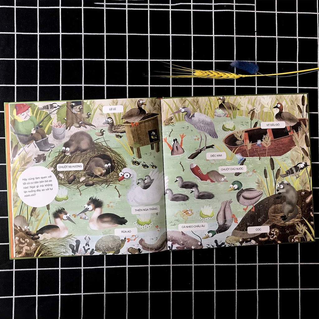 Sách - Hải Ly &quot;Giải Quyết Nỗi Buồn&quot; Ở Đâu? - Dấu vết để lại của động vật