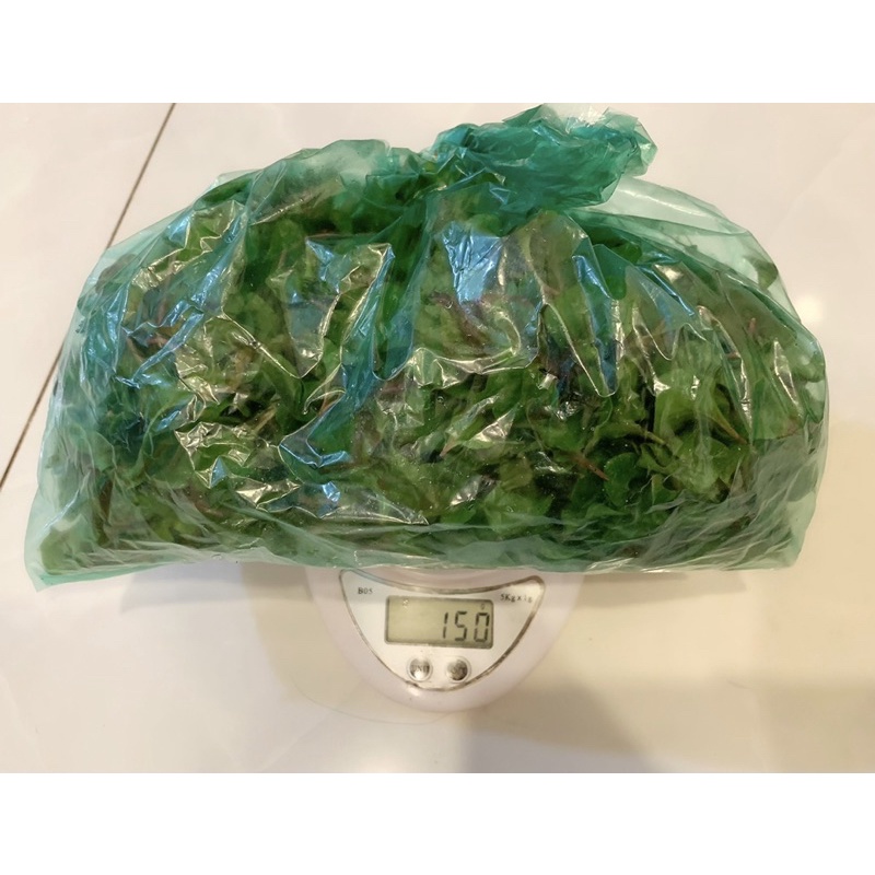Chỉ giao hoả tốc - 150gr rau xà lách xoong Nhật
