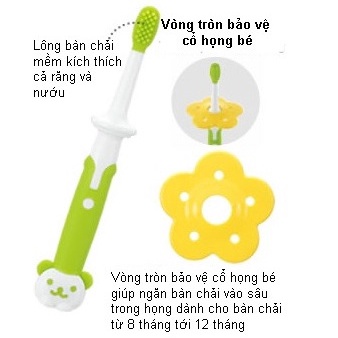 Bộ bàn chải răng 3 bước Richell 3m+, 8m+, 12m+