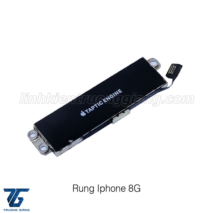 RUNG 8G