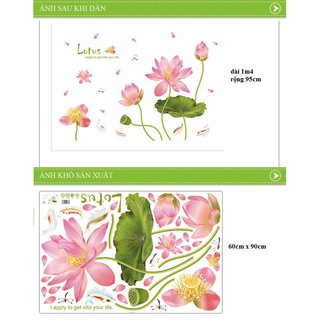 Decal Dán Tường Hoa Sen Uốn