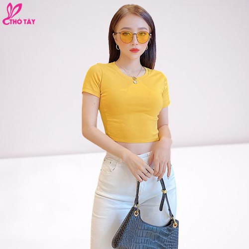 [Mã BMBAU50 giảm 7% đơn 99K] Áo thun nữ croptop THỎ TÂY cổ tròn nhiều màu siêu xinh THỎ TÂY B280