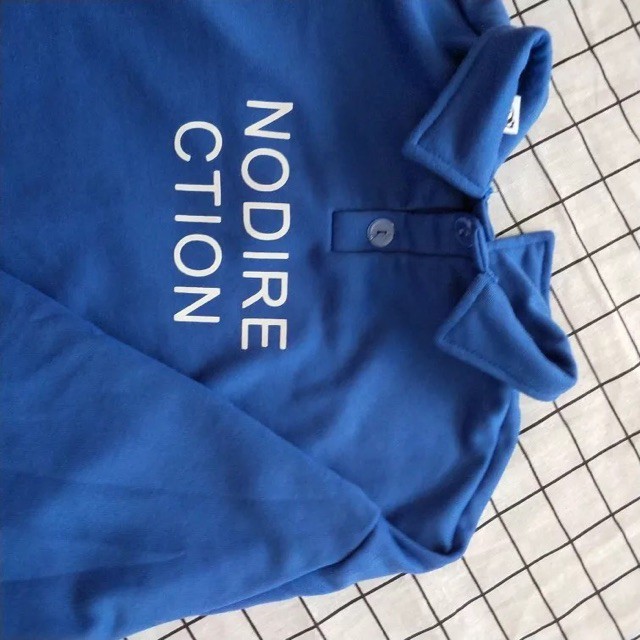 [SIÊU RẺ] Áo hoodie polo - (hàng loại A) | BigBuy360 - bigbuy360.vn