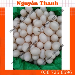 Trứng nhựa, trứng bồ câu giả