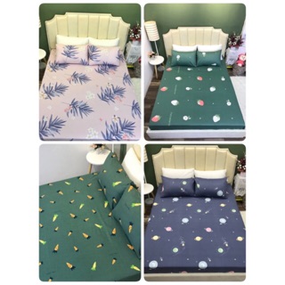 Set ga chun và 2 vỏ gối cotton 100% hàn quốc