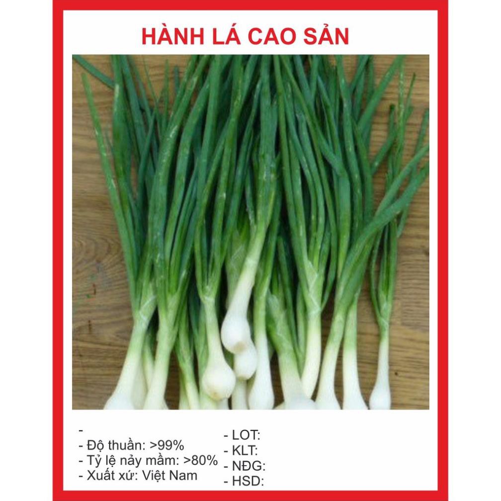 (Newseed) Hạt giống Rau thơm Hành Hoa 7gr