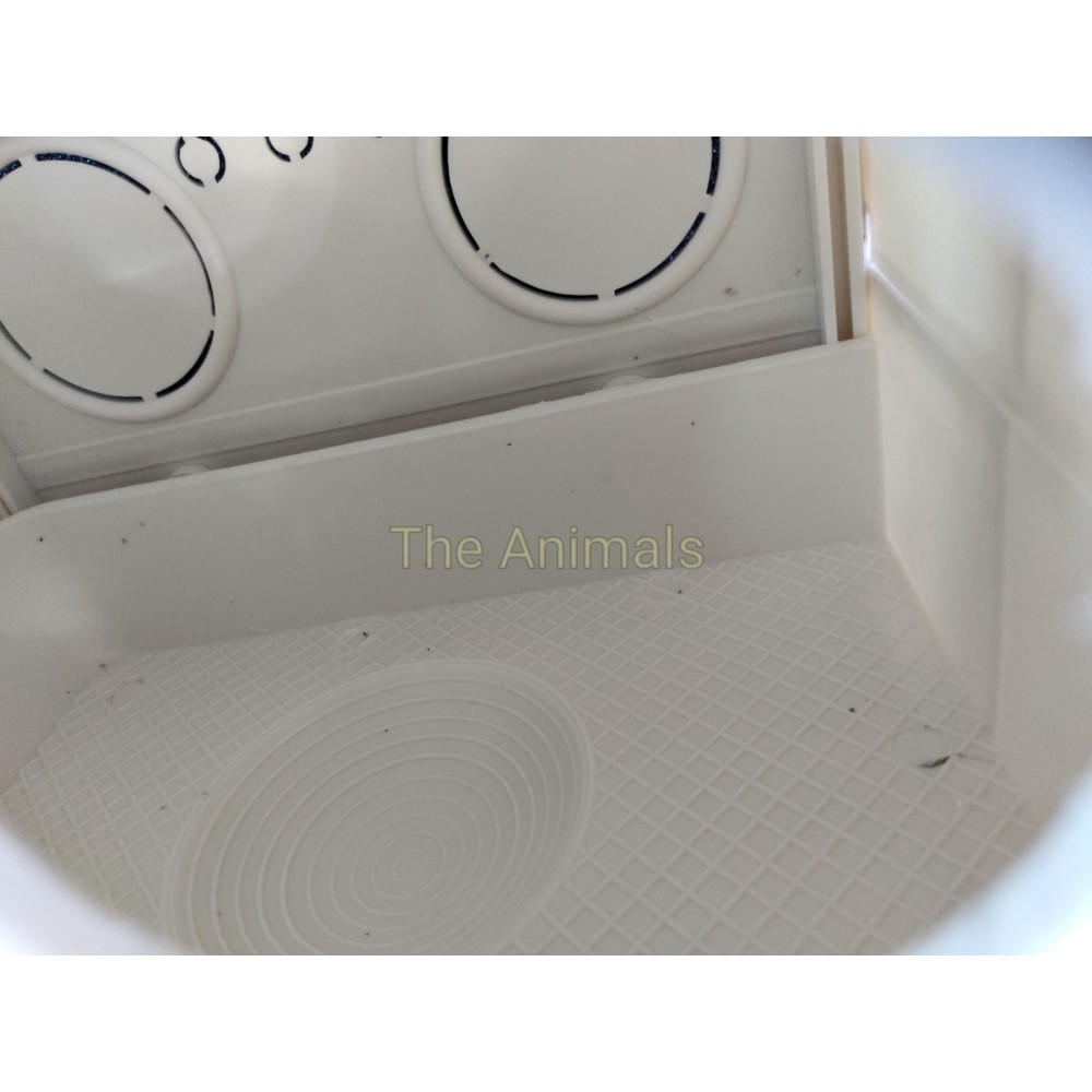 Tổ đẻ cho chim yến phụng, yến phụng EU, vẹt Malay, lovebird, parottlet và các loại chim nhỏ