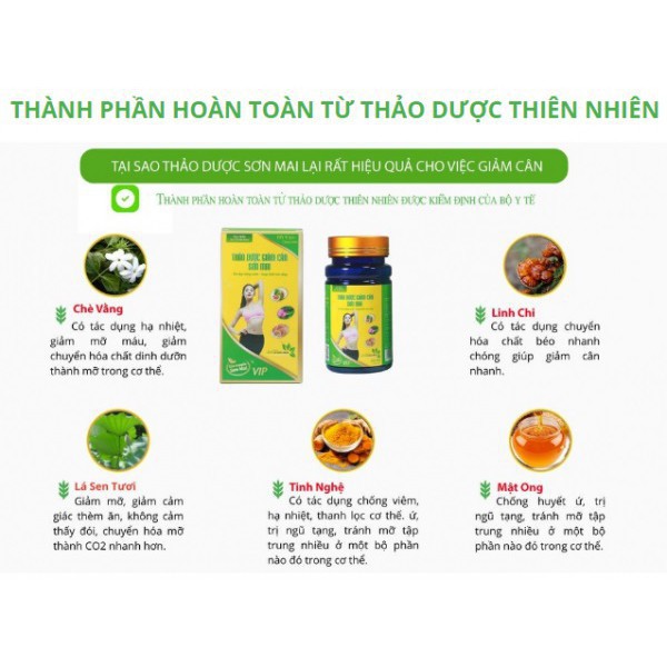 Thảo mộc giảm cân Sơn Mai, An Toàn, Hiệu Quả - Không Phải Thuốc Giảm Cân