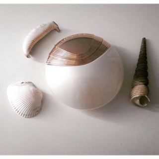 Sharingperfume - nước hoa Aqva Divina Bvlgari for ươmen [Mẫu thử 1Oml ]