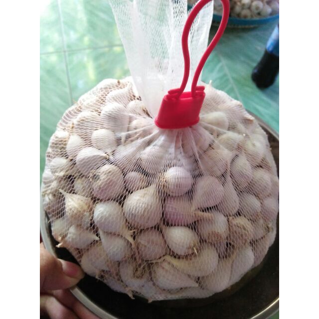 TỎI CÔ ĐƠN LÝ SƠN( 1ki)