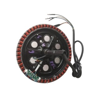 Lõi động cơ xe đạp điện 350W bi 6202 và 6203