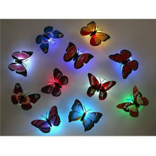 Bộ bướm 3D có đèn LED