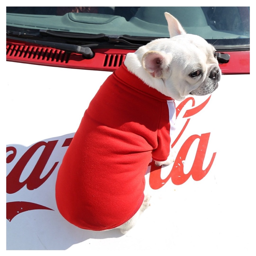 Áo Nỉ Kéo Khóa Phong Cách Thể Thao Kool Ngầu - Áo cho Chó Mèo Thú Cưng - Hàng Loại 1 Xịn Xò