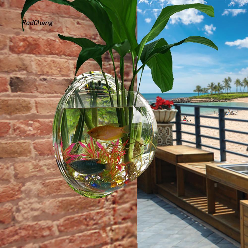 Bể cá / bình hoa treo tường trong suốt thiết kế sáng tạo độc đáo