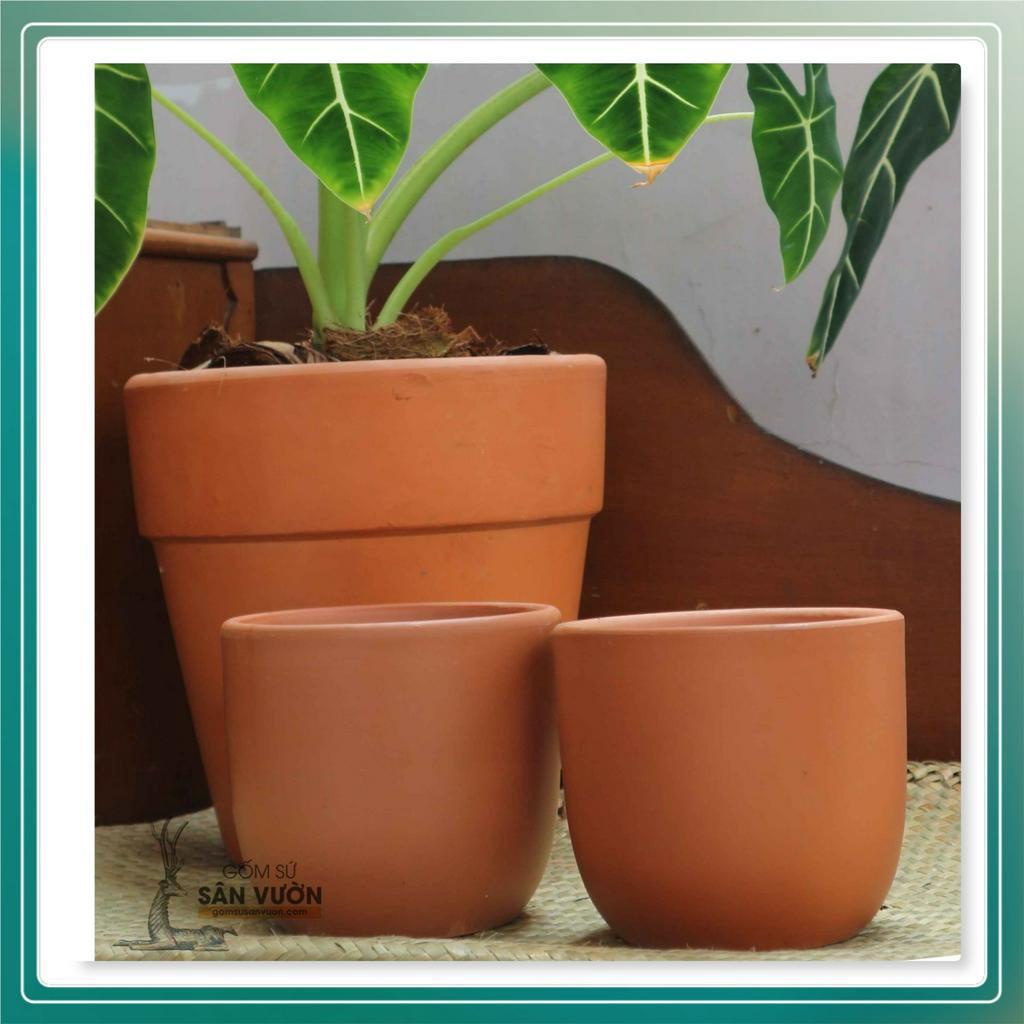 Combo 2 chậu gốm đất nung Hình Trứng Trơn  - Màu gốm đỏ , chậu trồng cây, gốm sứ sân vườn Bình Dương
