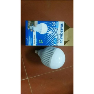 Đèn led tích điện 15W giá rẻ