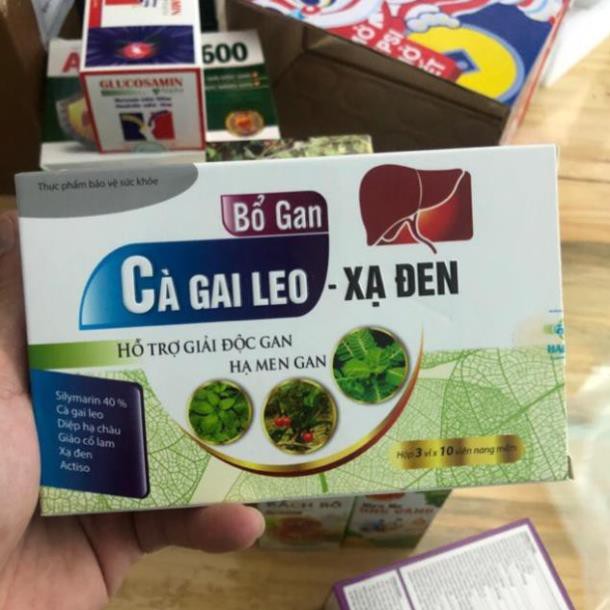 BỔ GAN CÀ GAI LEO XẠ ĐEN - GIẢI ĐỘC GAN, HẠ MEN GAN HỘP 30v