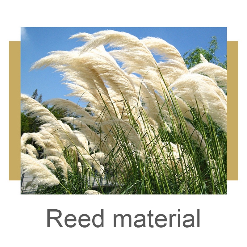 Set 10 Phụ Kiện Chuyên Dụng Dành Cho Kèn Saxophone 2.5