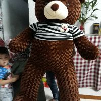 [HCM hỏa tốc 2h]Gấu bông teddy khổ 2m ( nhiều màu)