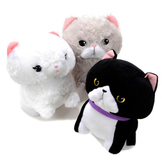 Mèo Lông Xù Amuse Phiên bản mới