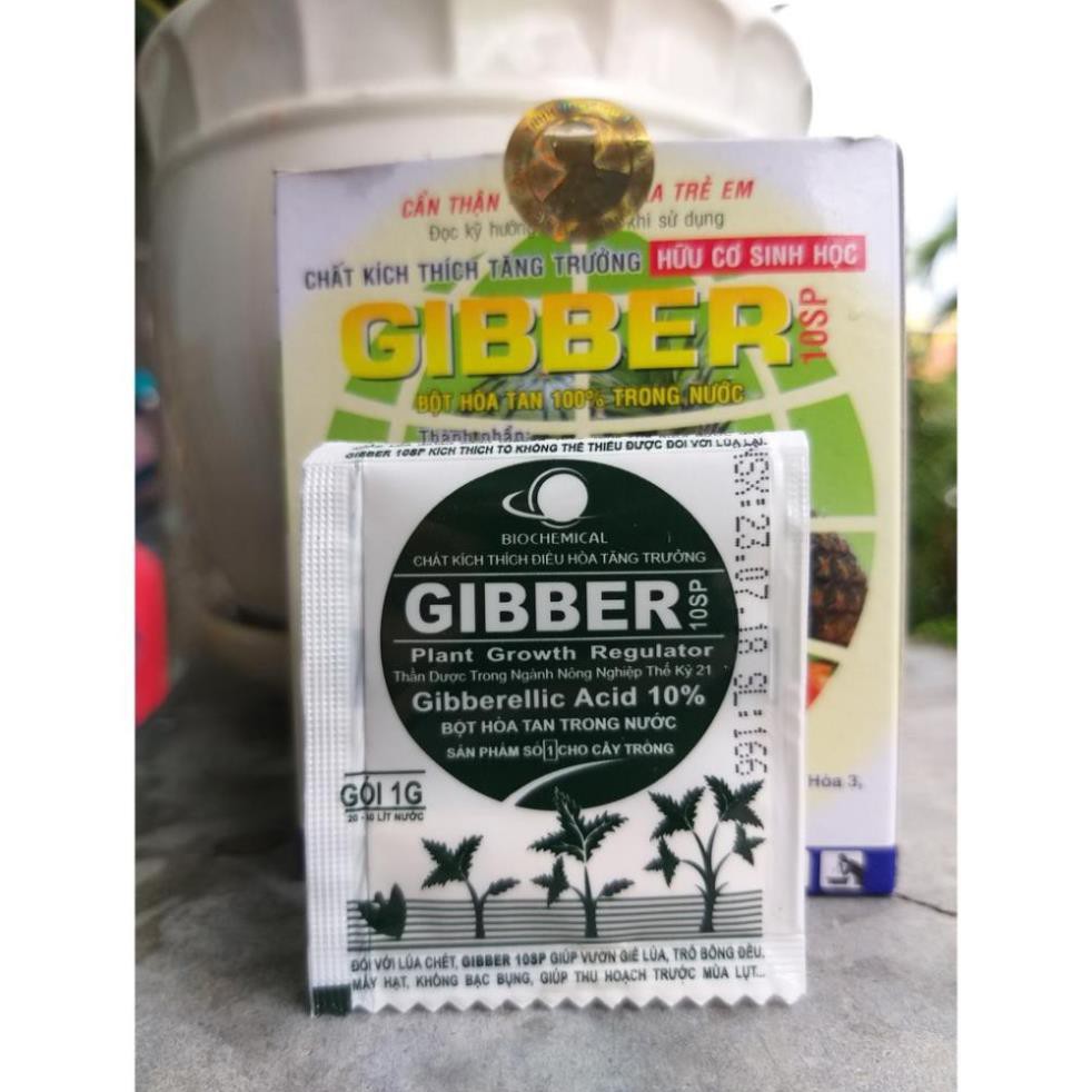 Phân Bón Lá GIBBER Kích Thích Tăng Trưởng