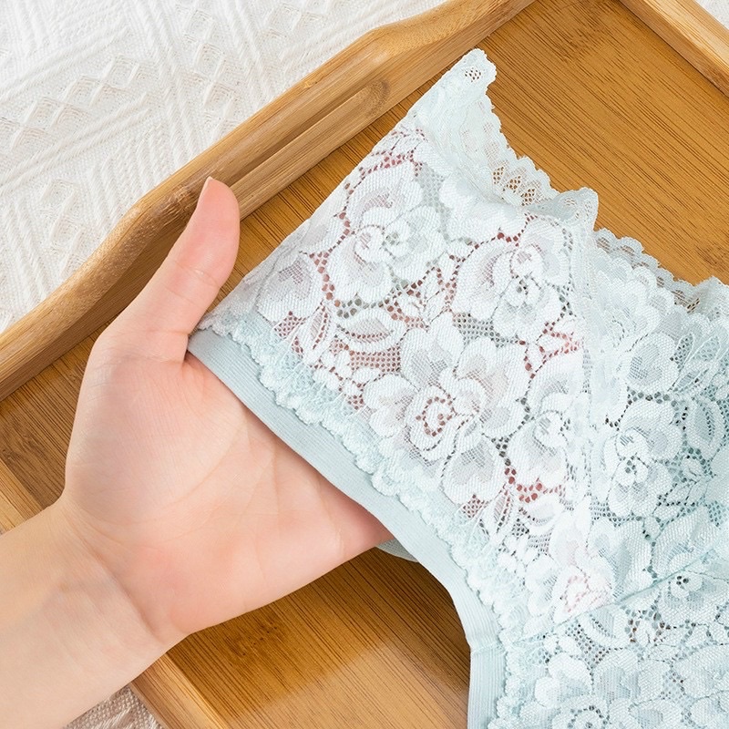 Quần lót ren công chúa cao cấp hàng đẹp 8058 (lẻ 1c)