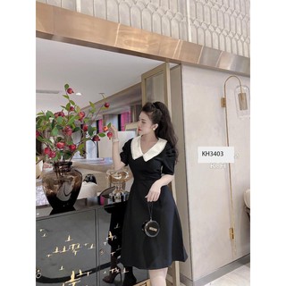 Váy đầm đen phối cổ trắng quý phái
