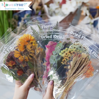 Flowertree Bộ 6 Miếng Sticker Dán Trang Trí Nhật Ký
