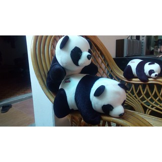 Gấu bông Gấu trúc Panda mini size 25 cm Cực dễ thương đáng yêu