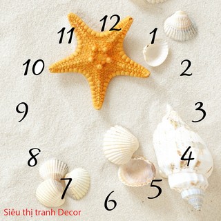 Tranh đồng hồ ốc biển