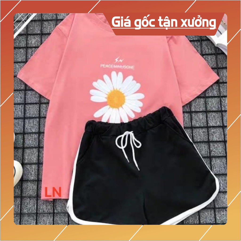 Áo hoa cúc ép nổi + quần đùi viền trắng LN12