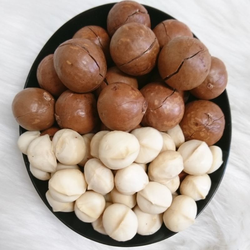 500GRAM Hạt Macca Daklak Sấy Chín Ngon có ATVSTP tặng Kèm Khui Hạt