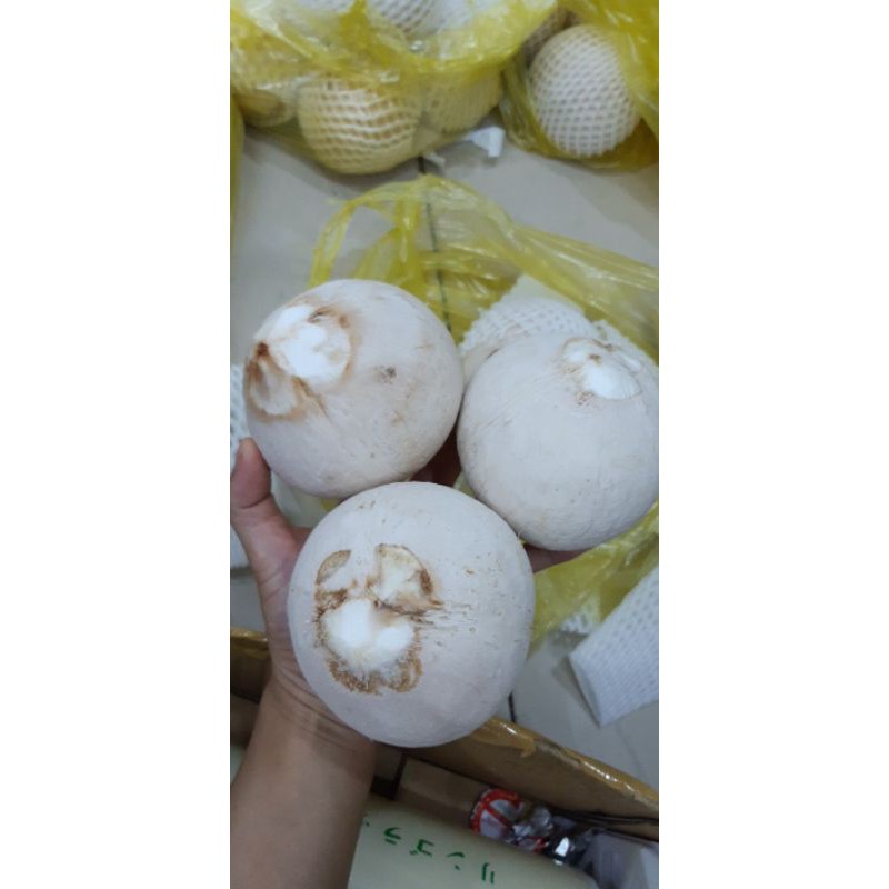 Dừa xiêm big size, set 12 trái( giao liền 1h)