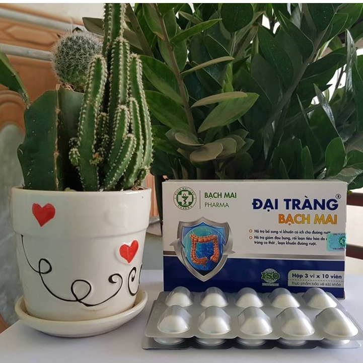 ✅ Đại Tràng Bạch Mai - Hỗ trợ giảm đau bụng, rối loạn tiêu hóa do đại tràng co thắt, loạn khuẩn đường ruột