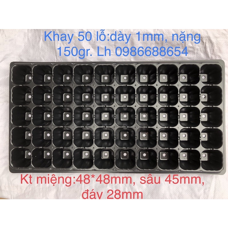 khay ươm 50 lỗ hàng dày