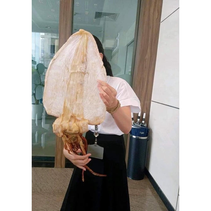 Big sale!!500gr Khô Mực lá 6-10 con/kg to hơn bàn tay trở lên Hải Sản Hồ Tràm loại 1
