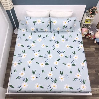 Set Chăn Ga Gối Cotton Lụa !! (Ảnh Chụp Thật)