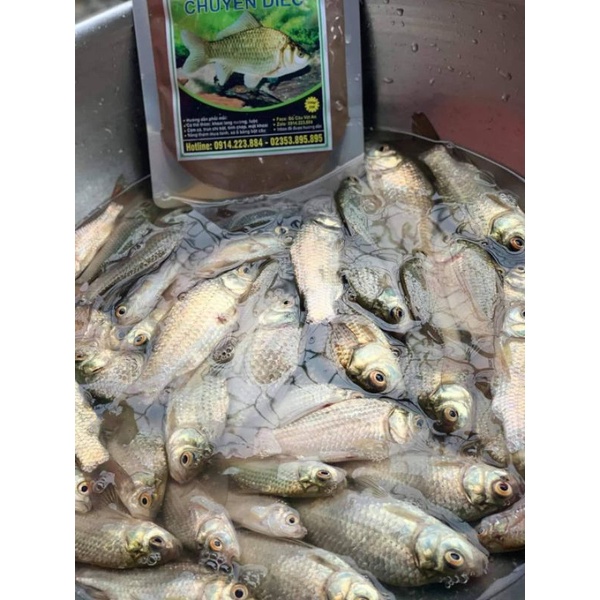 Mồi câu cá thương hiệu Gold. combo 4 gói