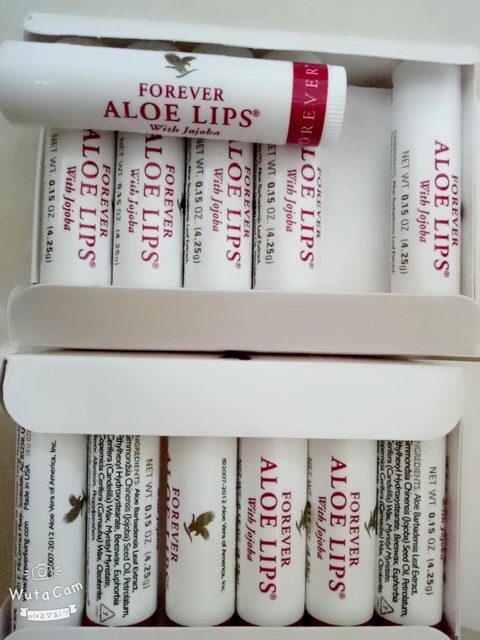 [GIÁ RẺ] Son dưỡng môi Aloe Lips #022flp Lô Hội