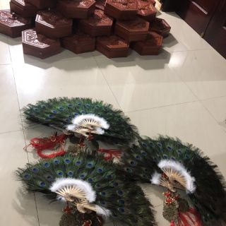 Quạt lông công mini 60x35