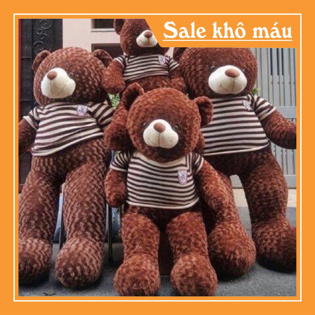 [HOT HOT HOT] Gấu Bông Teddy 1m8 [ BÁN BỞI NHÀ SẢN XUẤT ]  siêu đáng yêu ôm siêu phê