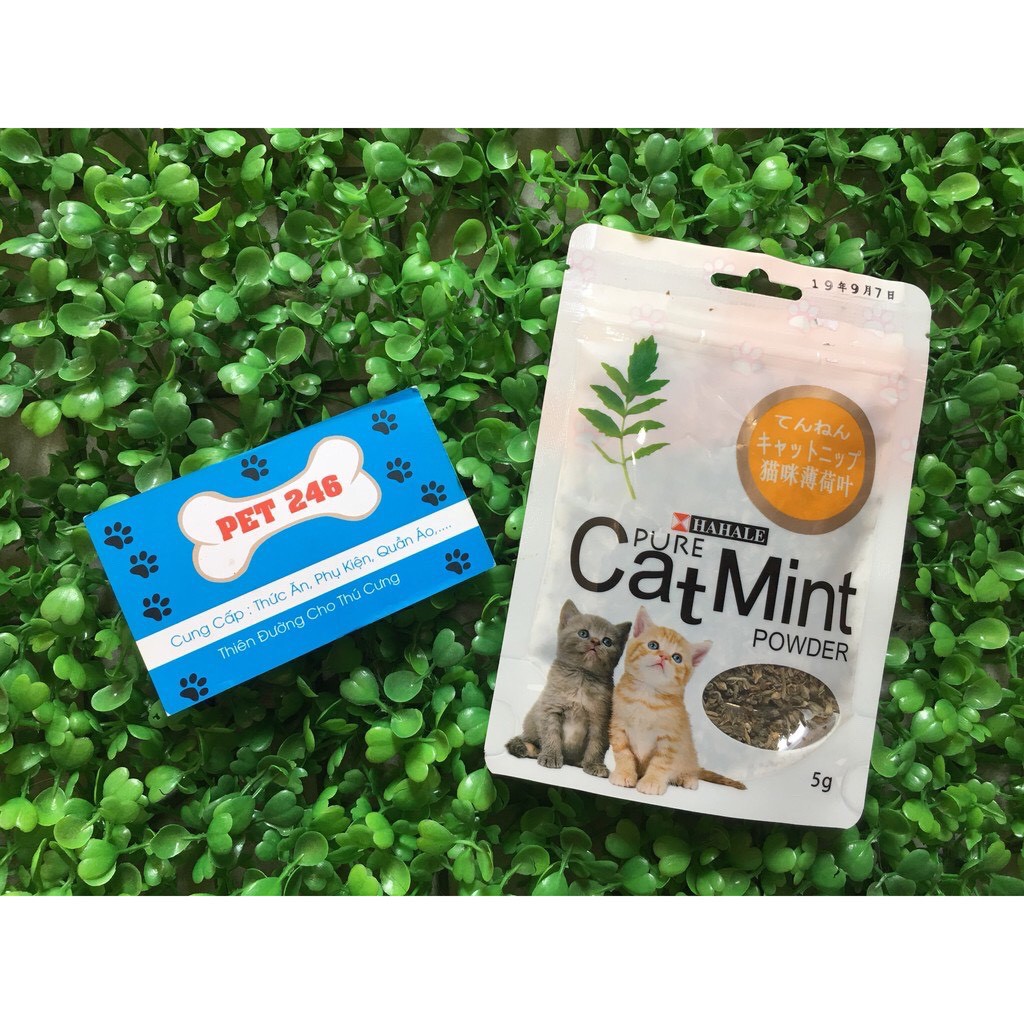 Cat min - Cỏ bạc hà cho mèo dạng gói CATMIN 5g