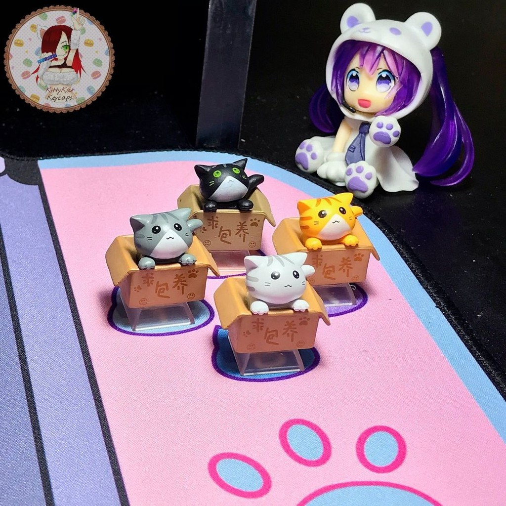 Keycap mèo con trong hộp  🐱 Keycaps xuyên led cat in box trang trí bàn phím cơ gaming