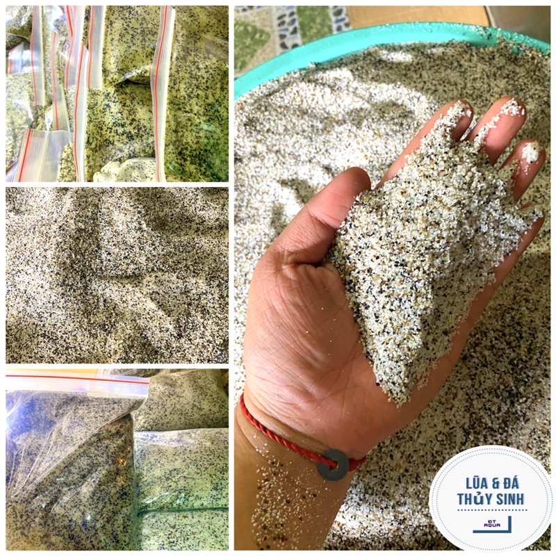Cát muối tiêu  [1KG] Cát thuỷ sinh - Trải nền hồ thủy sinh,hồ cá cảnh,bán cạn,biotop...