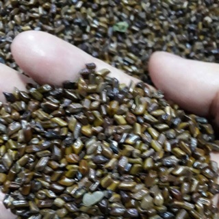 HẠT MUỒNG MUỒNG