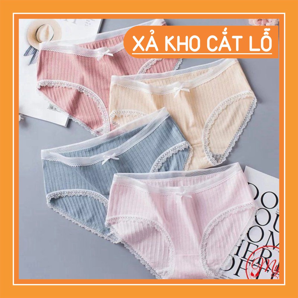 Sỉ Quần Lót Gân Tăm Viền Ren Cotton Thấm Hút Siêu Xinh Rẻ Nhất Thị Trường