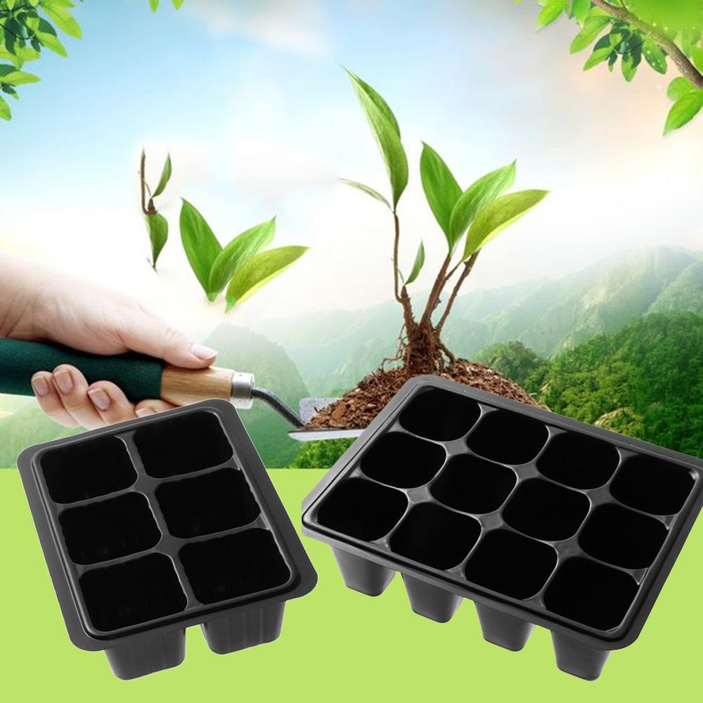 Khay Trồng Cây Mầm 6 / 12 Ngăn Bằng Nhựa Trong Suốt Kèm Nắp Đậy Cho Nhà Kính / Văn Phòng